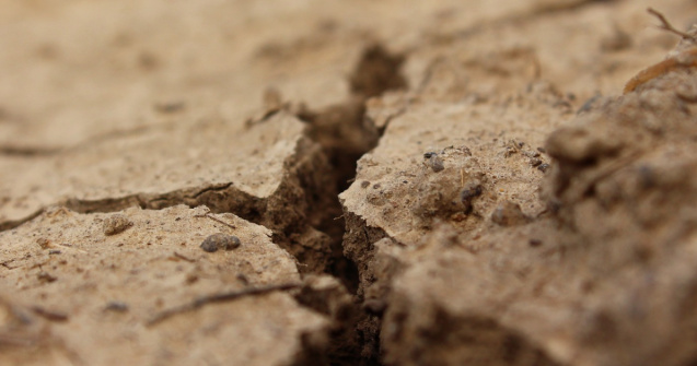 Sprijin financiar masiv pentru fermierii afectați de vremea extremă!