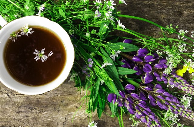 De ce să bei ceai din cozi de cireșe? Descoperă beneficiile miraculoase