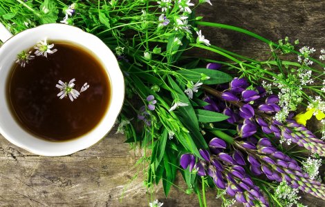 De ce să bei ceai din cozi de cireșe? Descoperă beneficiile miraculoase