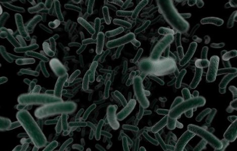  Top  Unde se ASCUND bacteriile in casa ta? Cele mai mari SURSE de germeni