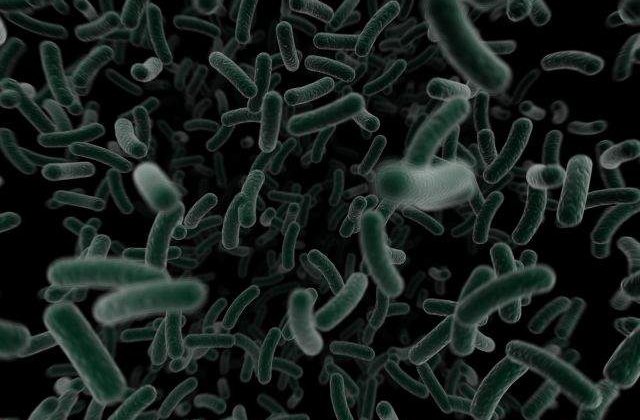 Unde se ASCUND bacteriile in casa ta? Cele mai mari SURSE de germeni