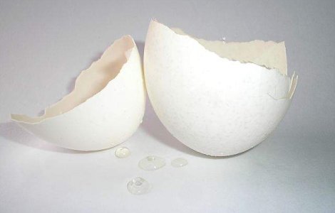  Top  Nu le vei mai ARUNCA! Utilizari INCREDIBILE ale cojilor de ou