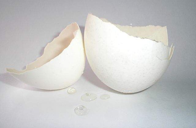 Nu le vei mai ARUNCA niciodata! Utilizari INCREDIBILE ale cojilor de ou