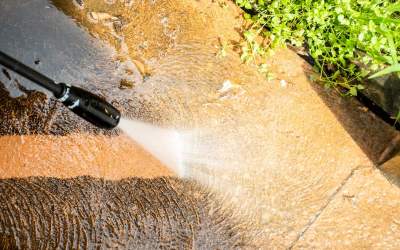 Ce trebuie să știi despre...