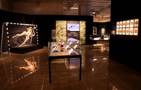 Descoperă secretele corpului uman la expoziția BODY WORLDS, acum deschisă publicului