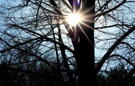 Vreme neobisnuit de CALDA! Prognoza meteo pentru inceputul saptamanii