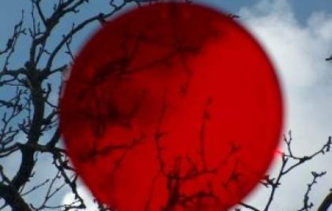 Japonia: Partidul lui Shinzo Abe a castigat scrutinul parlamentar