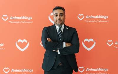 Adevărul ascuns despre...