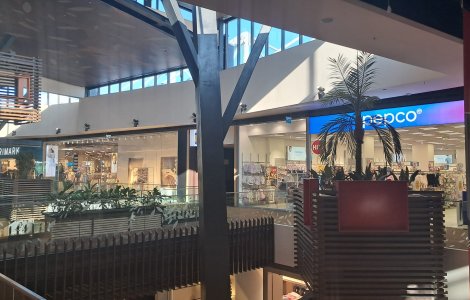 Pepco vs. Primark: Cine domină prețurile la articolele de iarnă?