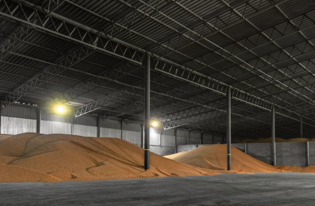 Cum eviți deprecierea cerealelor depozitate peste iarnă - ghid &icirc;n 6 pași 