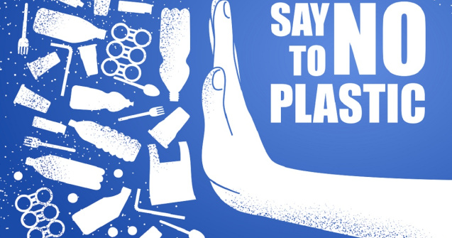 Impactul plasticului asupra ecosistemelor: de ce trebuie să acționăm acum?