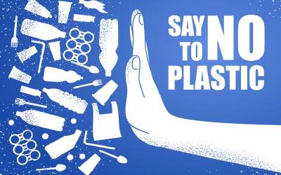 Impactul plasticului asupra...