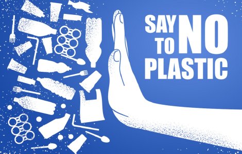 Impactul plasticului asupra ecosistemelor: de ce trebuie să acționăm acum?