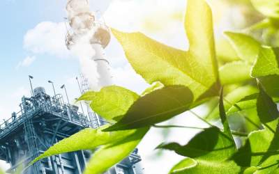 Avertisment crucial: România...