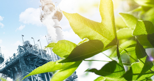 România riscă să piardă fonduri UE pentru reciclare din cauza amânărilor AFM