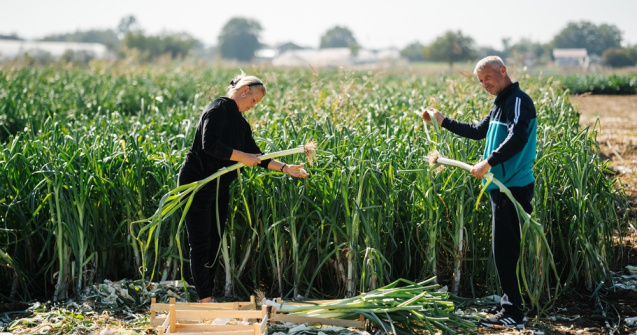 Descoperă produsele locale care cuceresc rafturile Carrefour: ce caută românii cu adevărat?