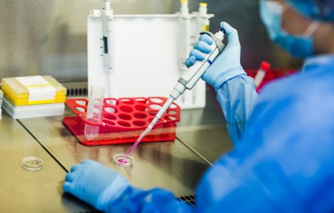 Descoperire uluitoare: Celulele din sângele ombilical pot reconstrui un sistem imunitar complet funcțional