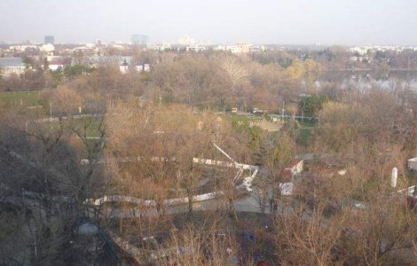 Capitala va avea circuit turistic pe lacurile Floreasca si Tei