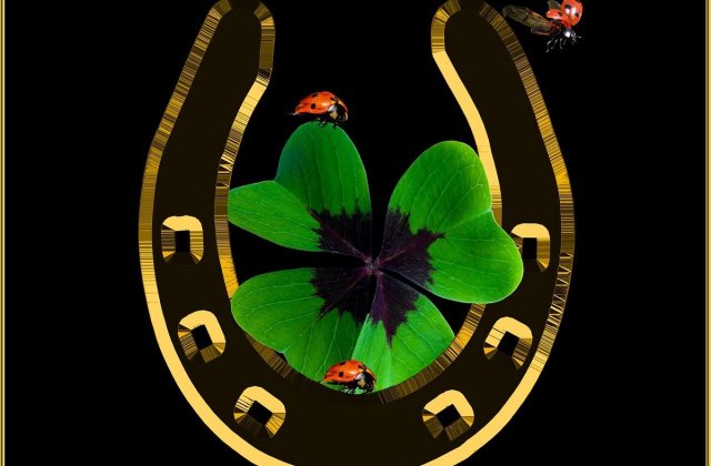 Numerele norocoase de la cazinou diferă de cele din pariurile sportive? 