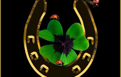 Numerele norocoase de la cazinou diferă de cele din pariurile sportive?