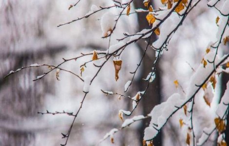 Ninsori, polei si vant puternic in aproape toata tara