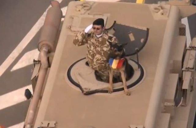 Noi reglementari privind animalele de serviciu in MApN