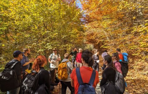 Acord surpriză între Lidl și Geoparcul Oltenia: Impactul asupra antreprenorilor locali