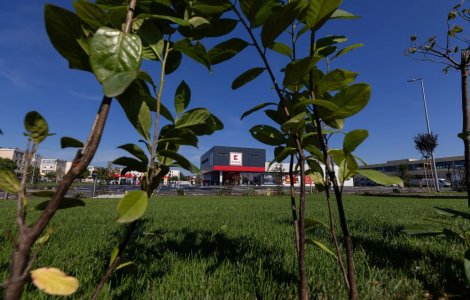 Kaufland surprinde locuitorii din București cu un nou magazin plin de oferte