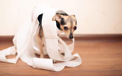 Cum se tratează constipația...