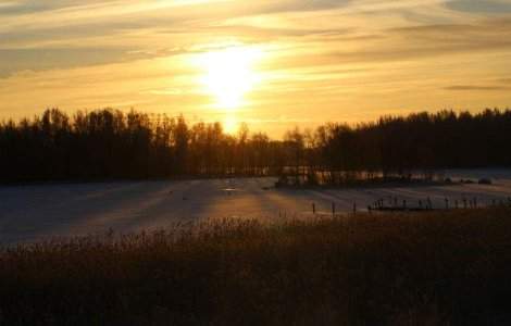  Top  Vremea se STRICA: Ploi si NINSORI la sfarstiul saptamanii