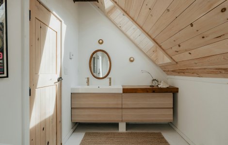 De la covoare de living la covorașe de baie: cele mai bune alegeri pentru o casă cu animăluțe