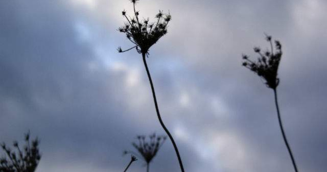 Vreme GEROASA la inceputul saptamanii