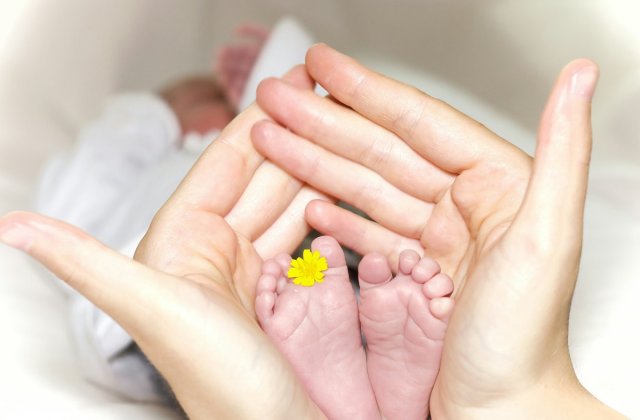 Baby Nest - Un loc sigur și confortabil pentru bebelușul tău