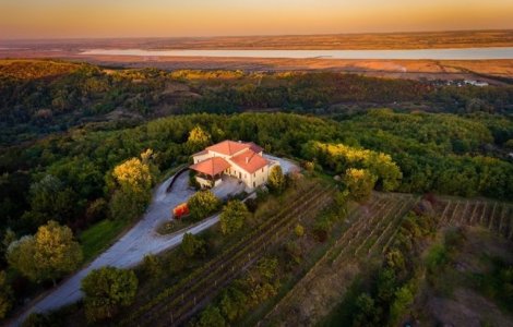 Descoperă spumantul aniversar care marchează 20 de ani de excelență într-o ediție limitată surprinzătoare.