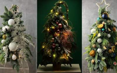 Descoperă secretul brazilor...