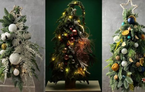 Descoperă secretul brazilor de mici dimensiuni care transformă fiecare colț al casei în magie de Crăciun