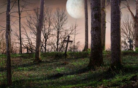  Top  Vom afla vreodata ADEVARUL? TOP 10 vedete care au murit in conditii SUSPECTE