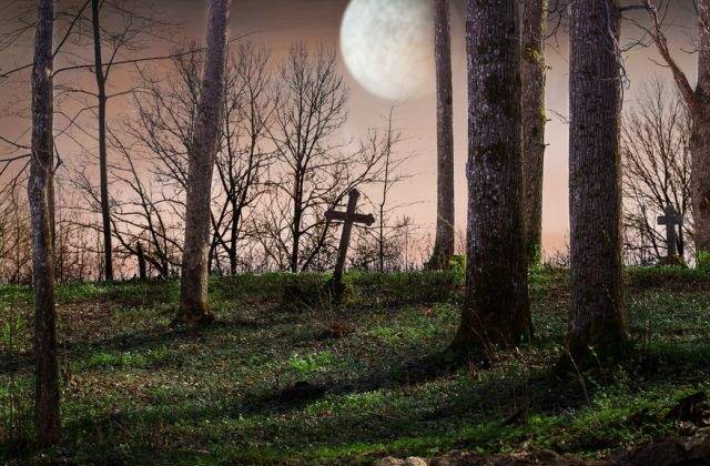 Vom afla vreodata ADEVARUL? TOP 10 vedete care au murit in conditii SUSPECTE