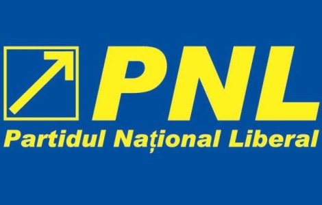 Conducerea noului PNL discuta luni despre pasii fuziunii si strategia politica
