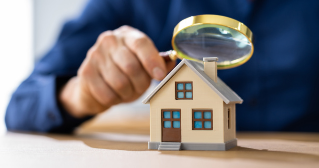 Locuința ideală a românilor în 2025: ce dotări surprinzătoare va avea