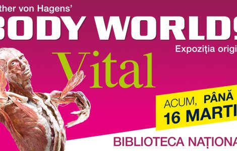 Descoperă motivul pentru care expoziția BODY WORLDS – Vital prelungește perioada de vizitare!