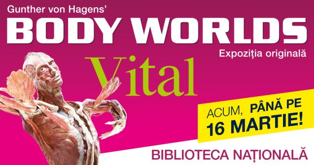 Descoperă motivul pentru care expoziția BODY WORLDS – Vital prelungește perioada de vizitare!