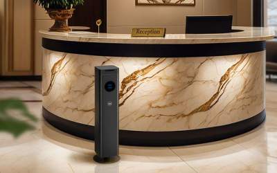 Cum reușesc aromele...