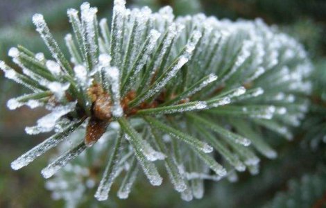 Cea mai scazuta temperatura din aceasta iarna: minus 35°C