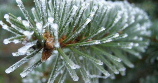 Cea mai scazuta temperatura din aceasta iarna: minus 35°C