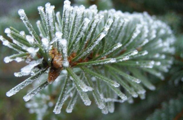 Cea mai scazuta temperatura din aceasta iarna: minus 35&deg;C