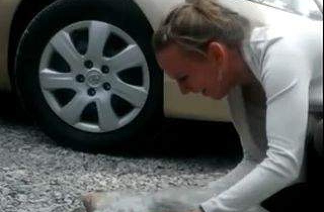 [Video] Bucurie EXTREMA! A lesinat la revederea stapanei