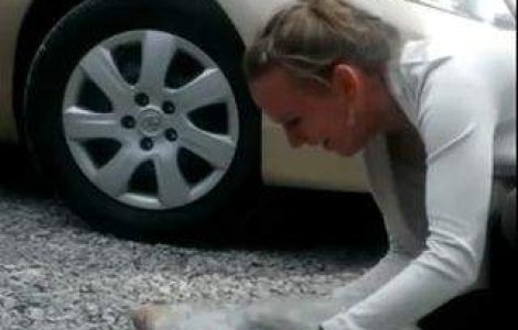  Video  Bucurie EXTREMA! A lesinat la revederea stapanei