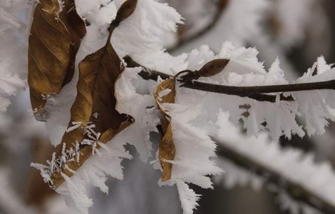 Continentul nord-american, cuprins de un val de frig polar