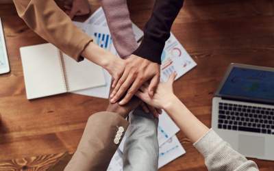 Adevărul surprinzător despre...